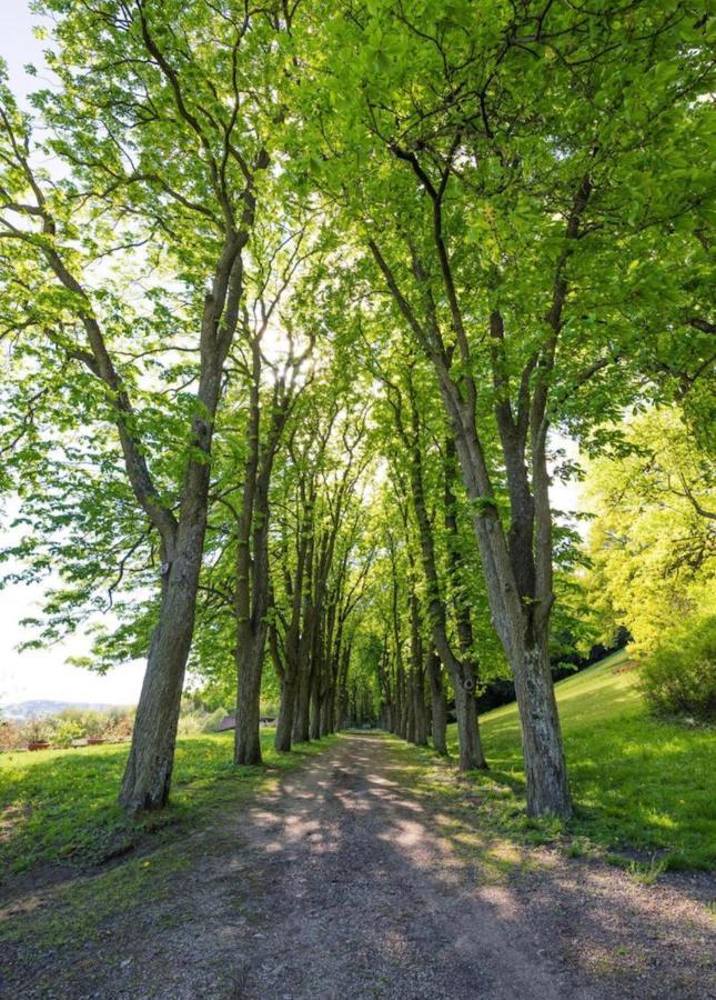 Urlaub In Schlossnaehe Artstetten Esterno foto
